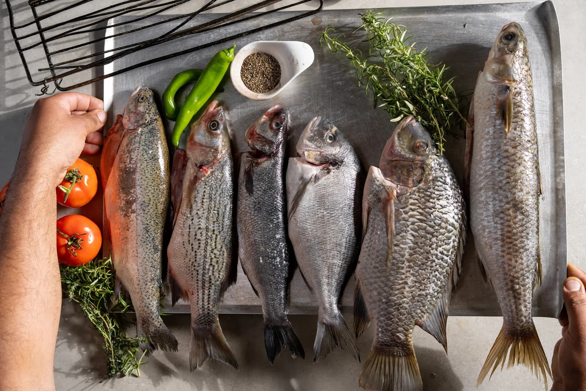 גלריית ג'קו 2